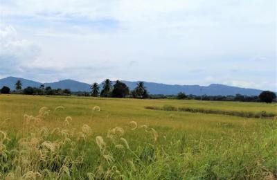 VENTA DE TERRENO DE 60 HAS. EN SAN MARTÍN